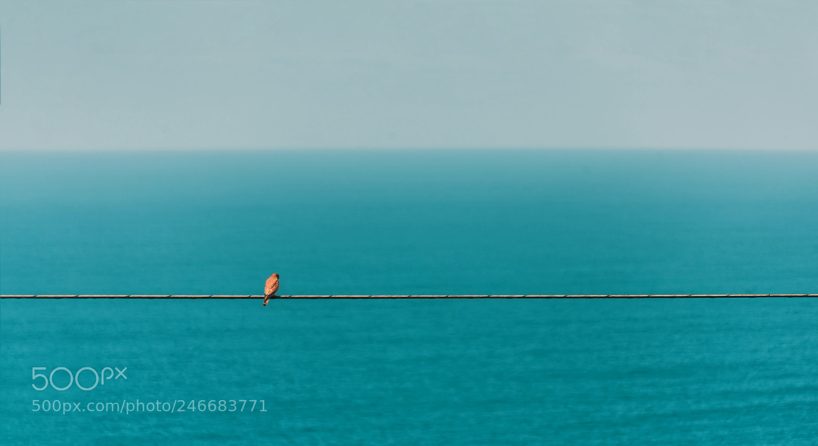 Nikon D810 sample photo. Minimal landscape photography