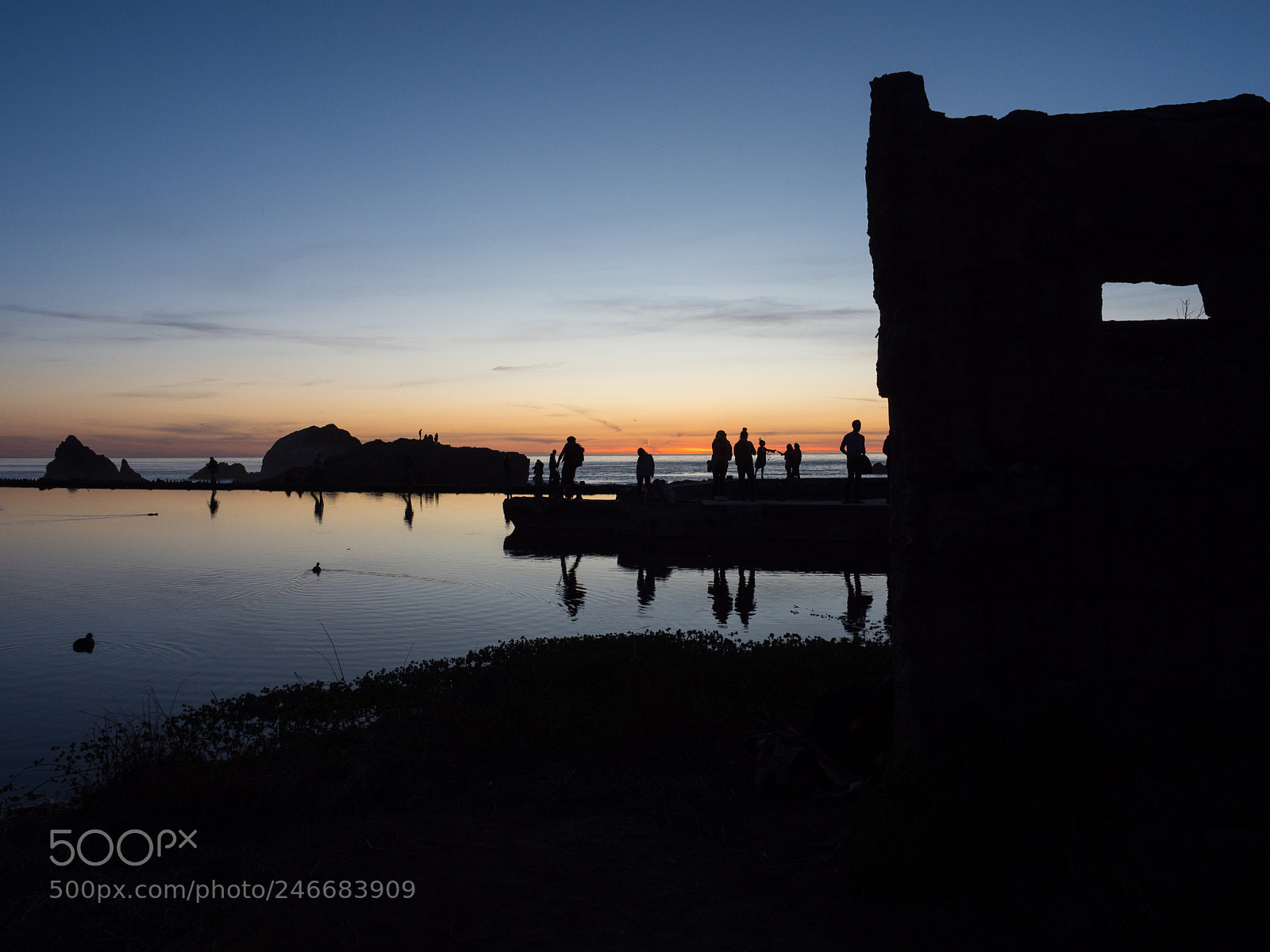 Olympus OM-D E-M1 Mark II sample photo. Sutro silhouettes photography