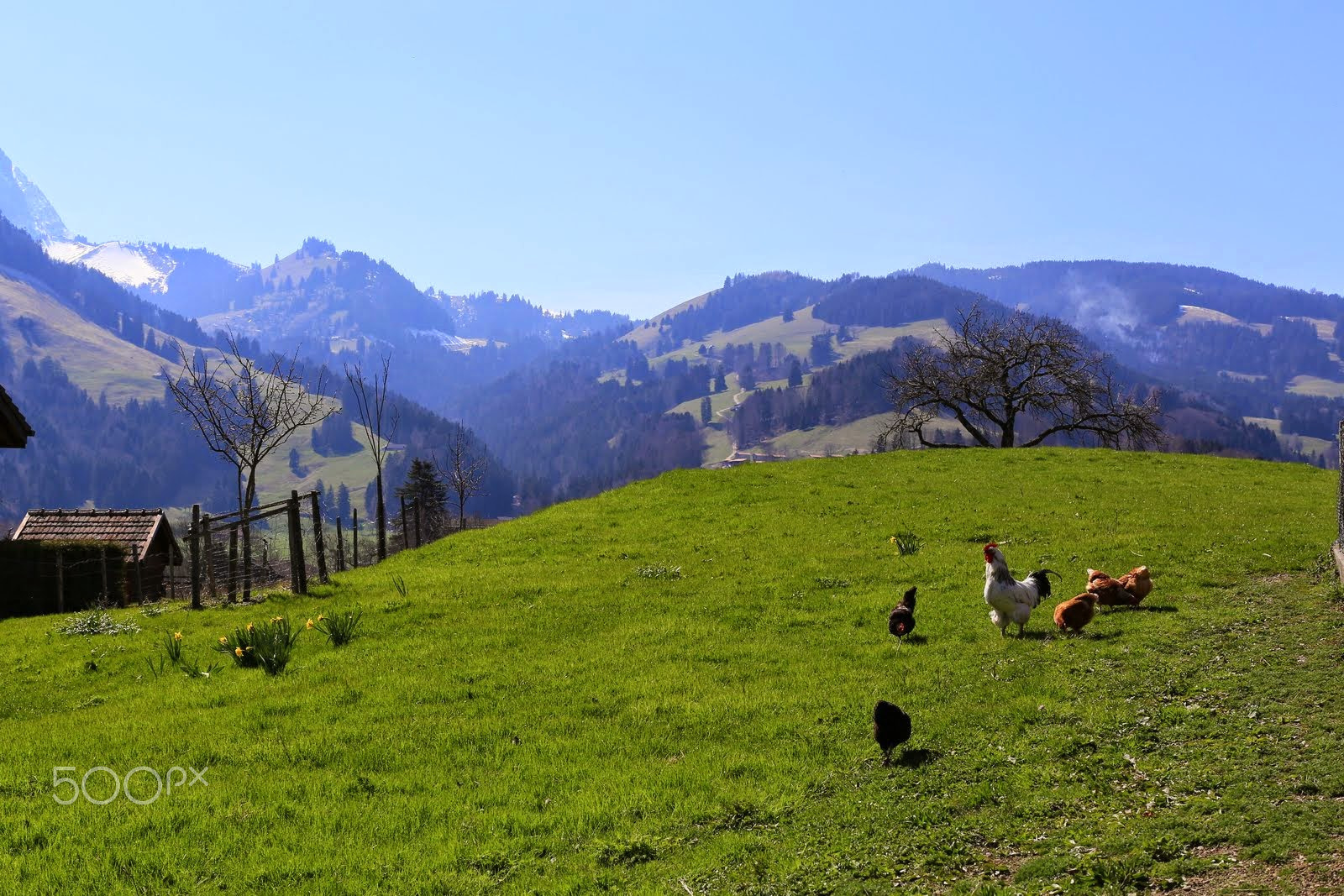 Canon EOS 6D + Canon EF 50mm F1.2L USM sample photo. Farmland photography