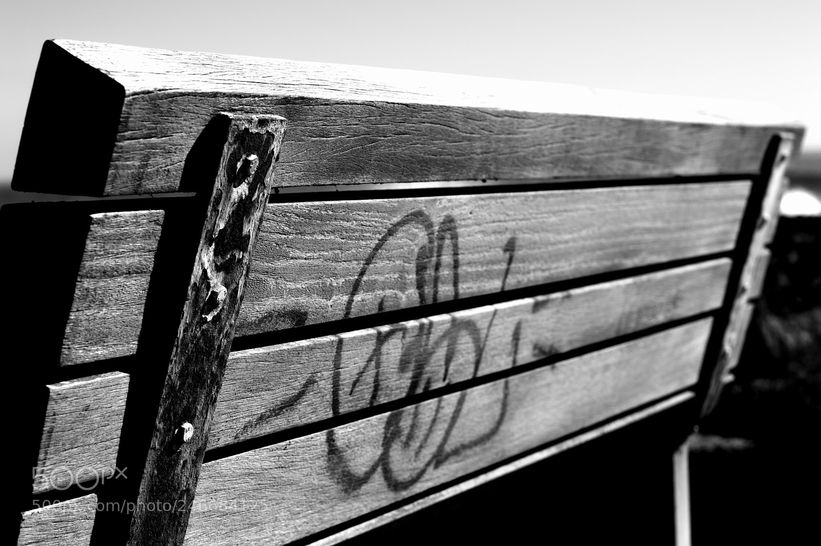 Nikon D3200 sample photo. Wooden bench photography