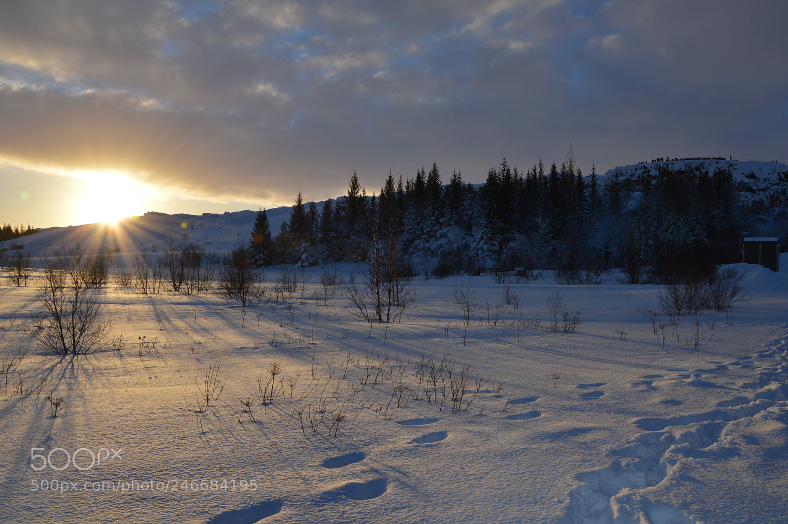 Nikon D3200 sample photo. The golden hour photography
