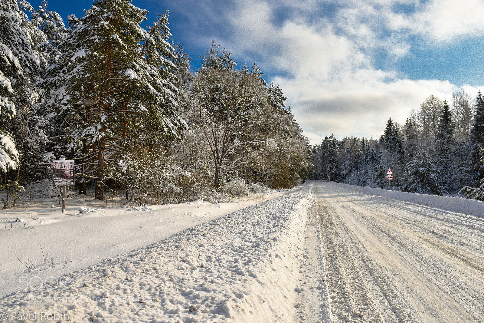 Nikon D810 sample photo. Winter road photography