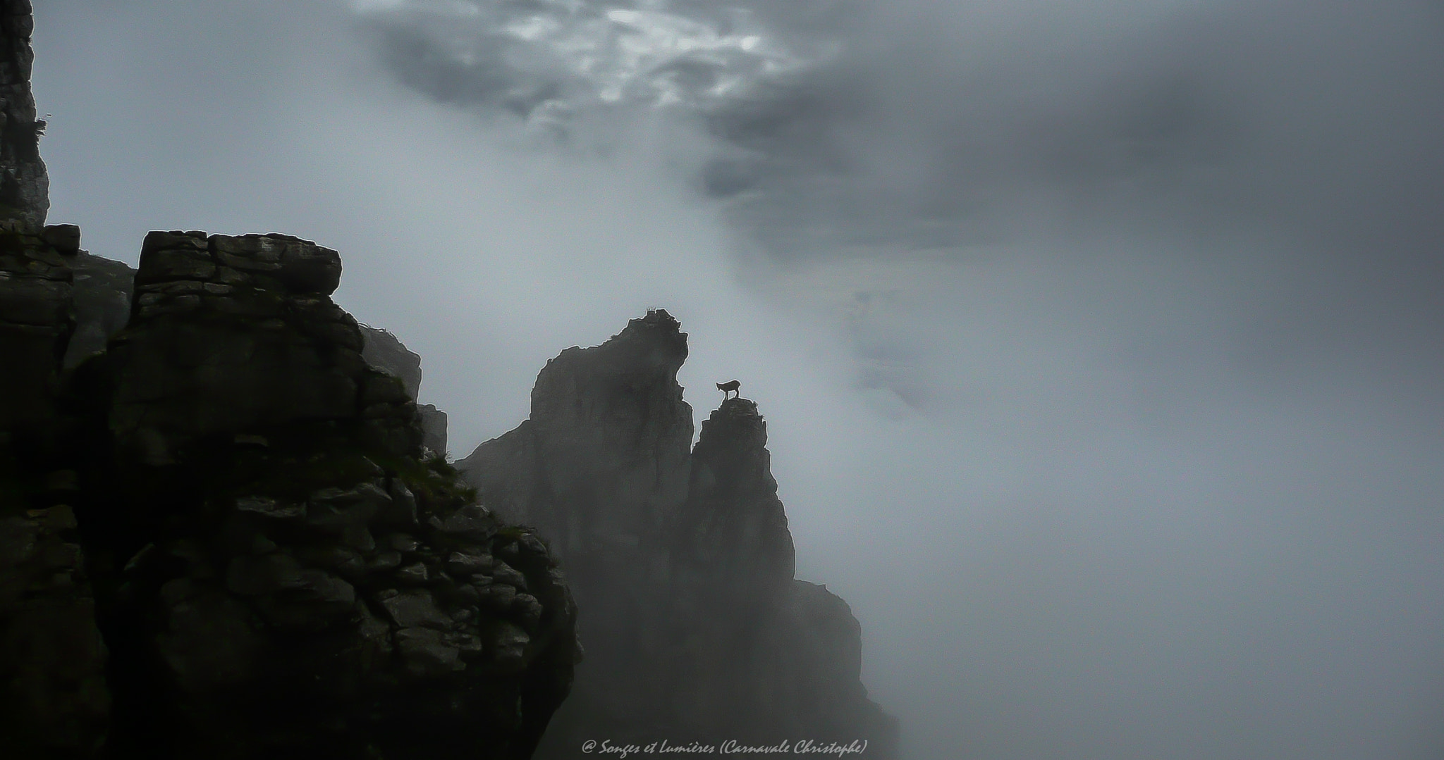 Panasonic DMC-TZ2 sample photo. Chamois en vercors photography