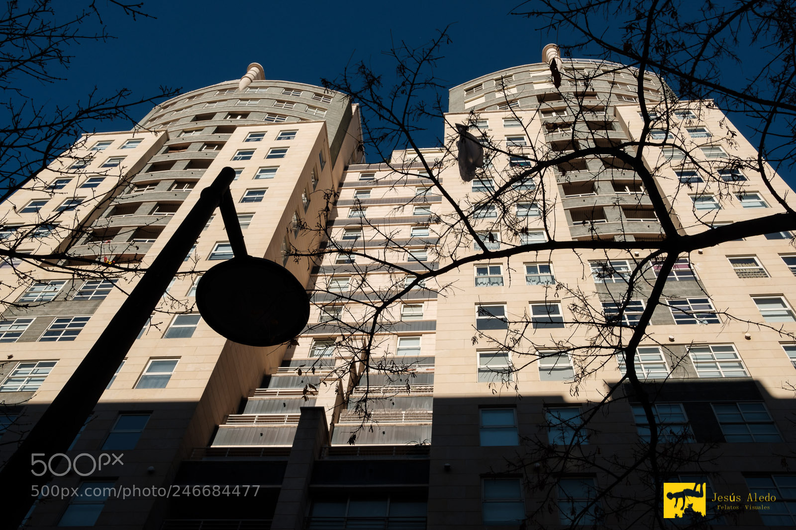 Fujifilm X-Pro2 sample photo. "sunny day" photography