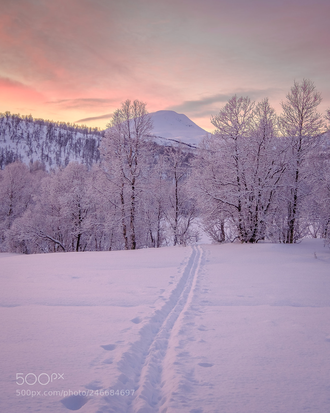 Fujifilm X-T2 sample photo. Tracks to paradise, photography