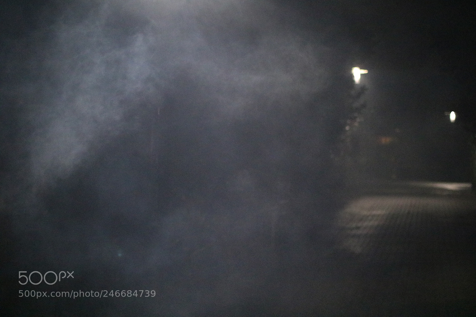 Canon EOS 750D (EOS Rebel T6i / EOS Kiss X8i) sample photo. Untitled photography