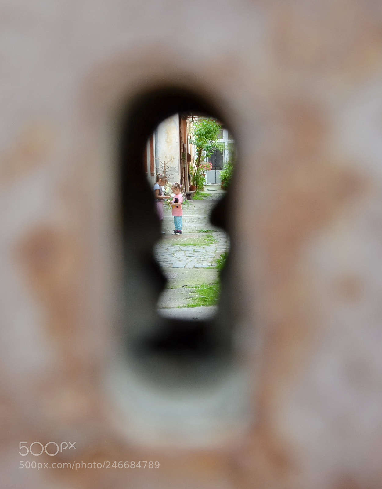 Nikon D5100 sample photo. A little world photography