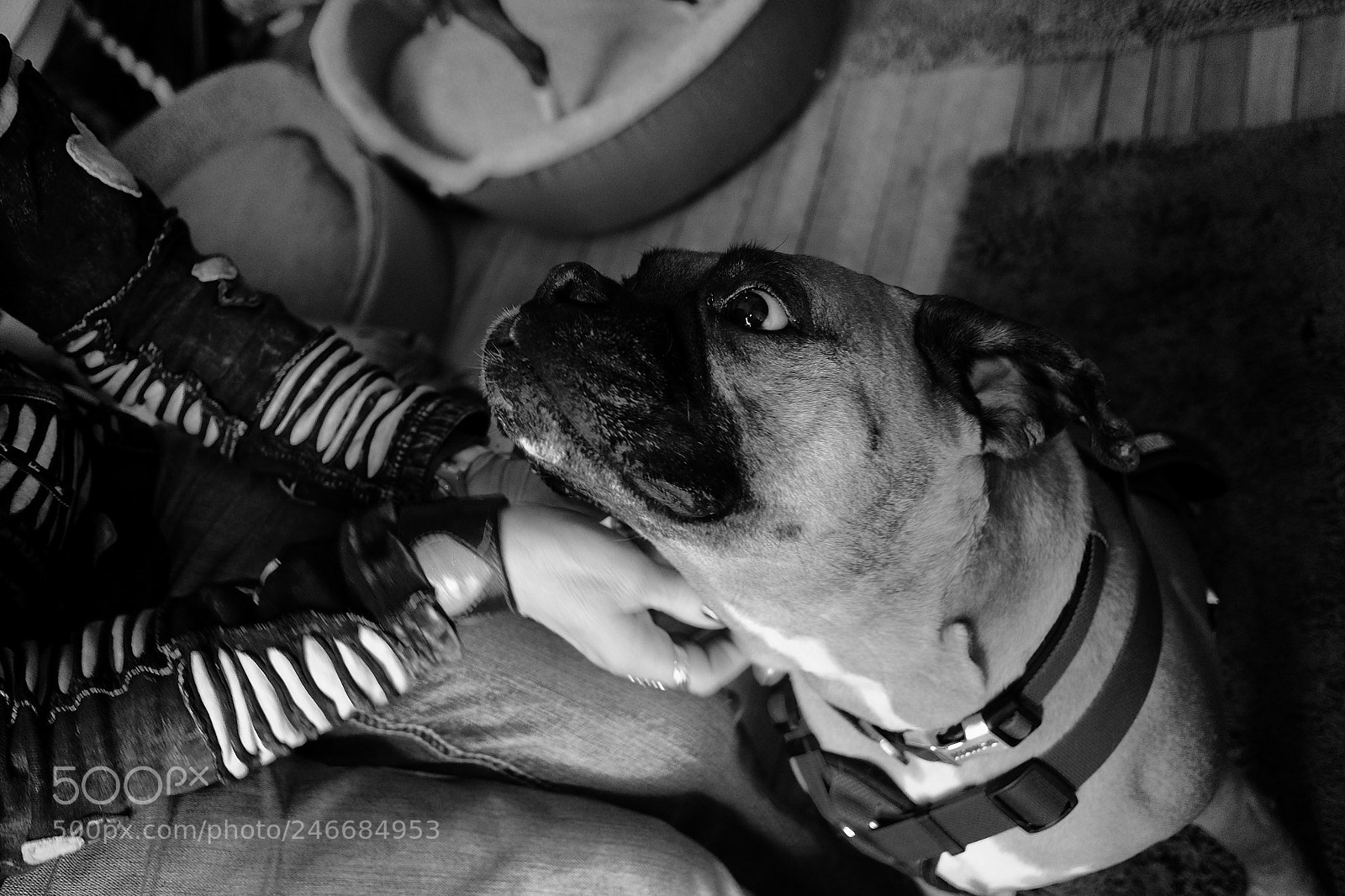 Fujifilm X70 sample photo. Bonding moment photography