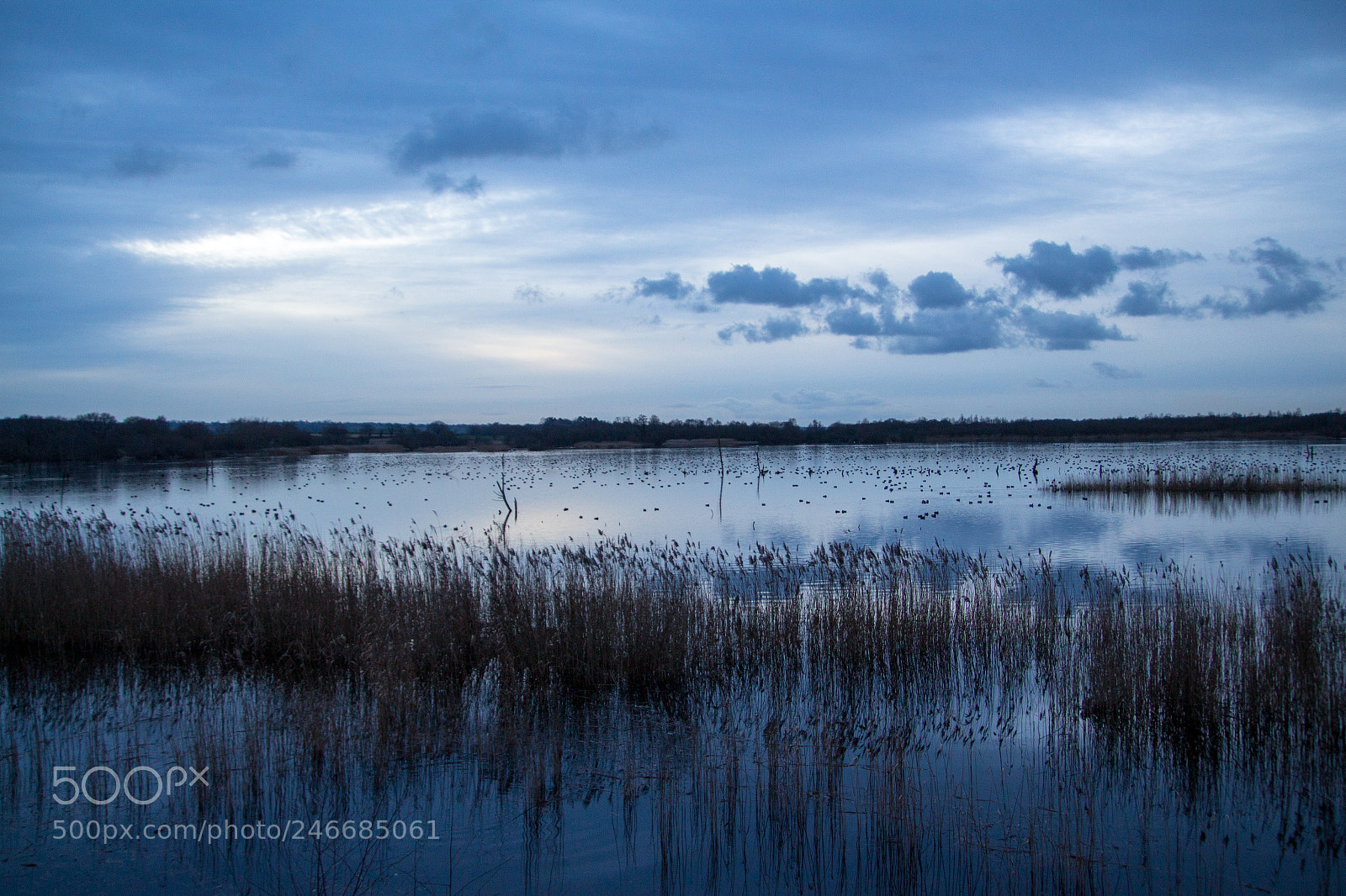 Canon EOS 650D (EOS Rebel T4i / EOS Kiss X6i) sample photo. Lake at dusk photography