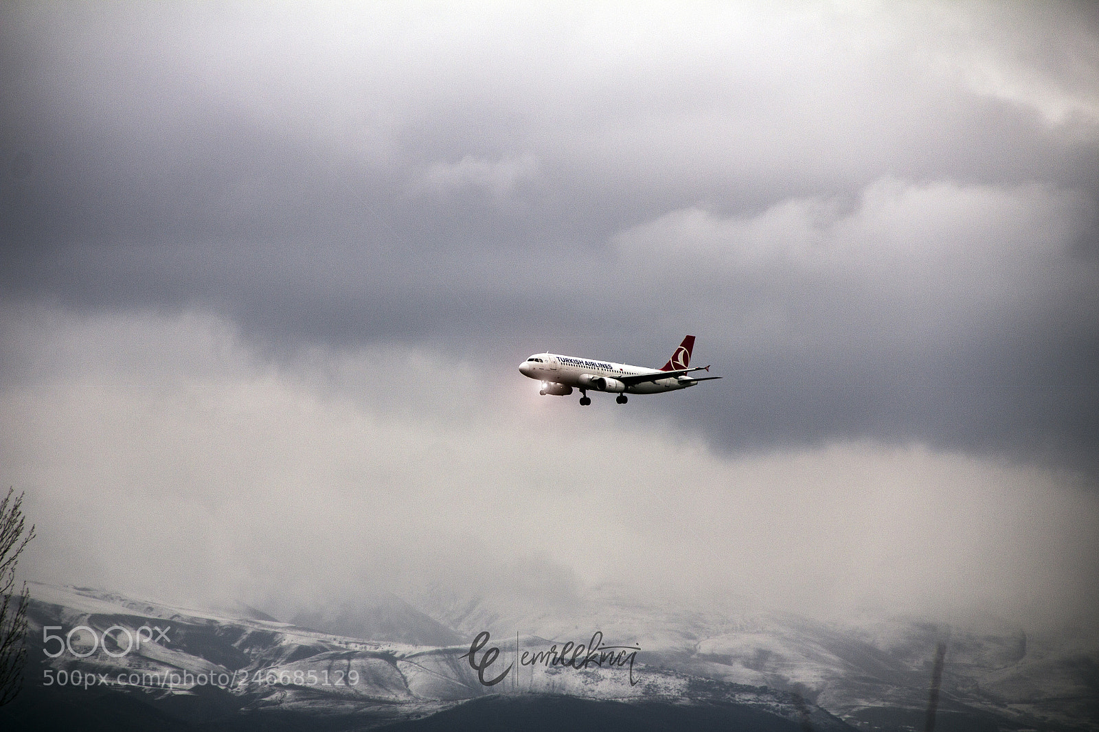 Canon EOS 60D sample photo. Fly photography