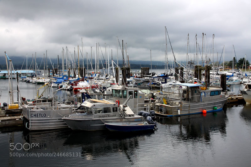 Canon EOS 50D sample photo. Deep bay 2 photography