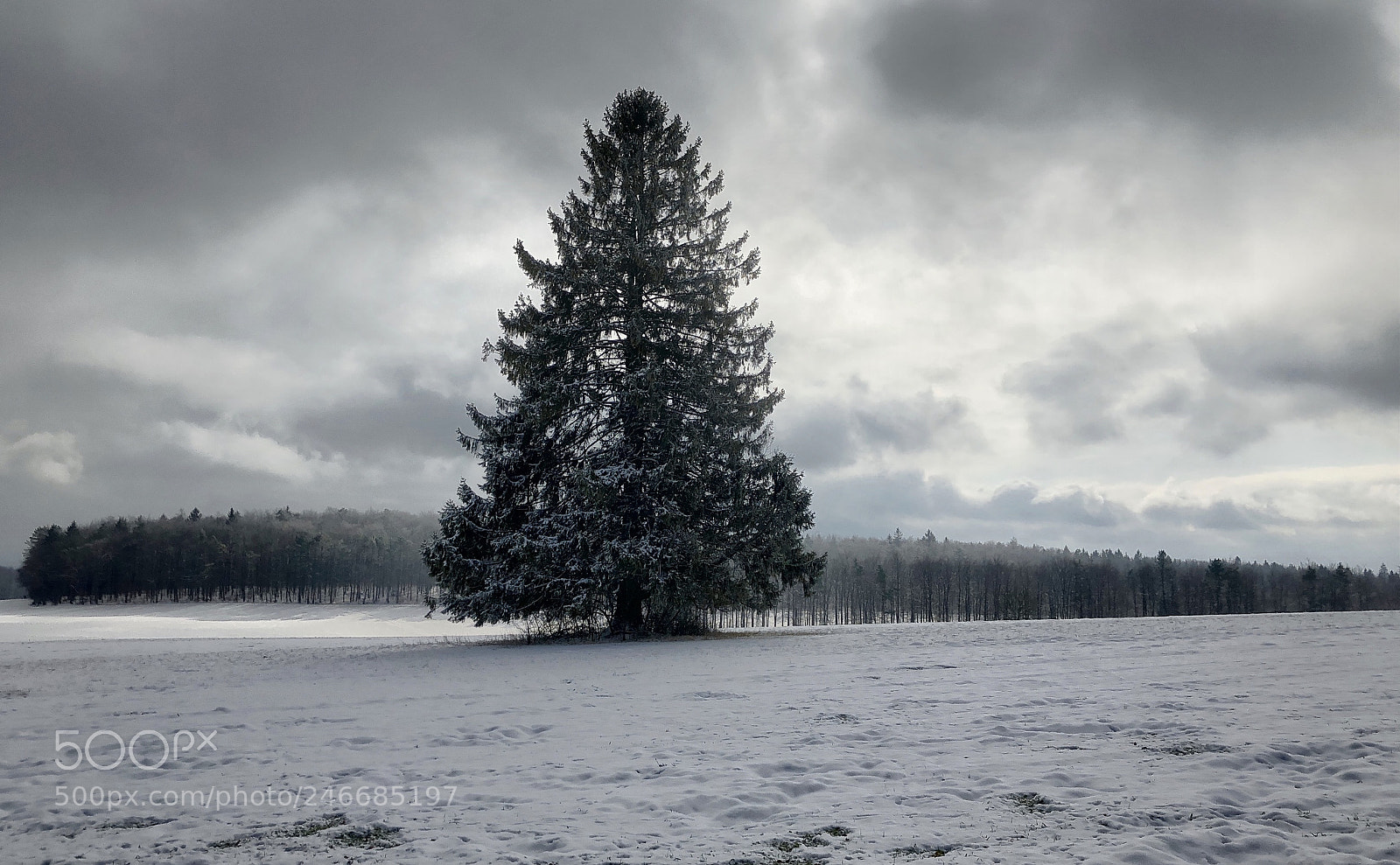 Apple iPhone X sample photo. Cold winter photography