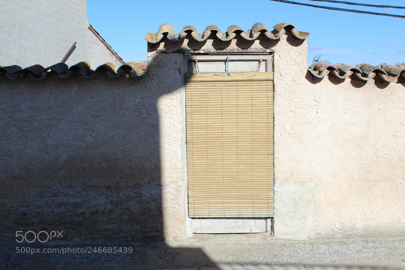 Canon EF-S 18-55mm F3.5-5.6 III sample photo. Esterilla en pollos photography