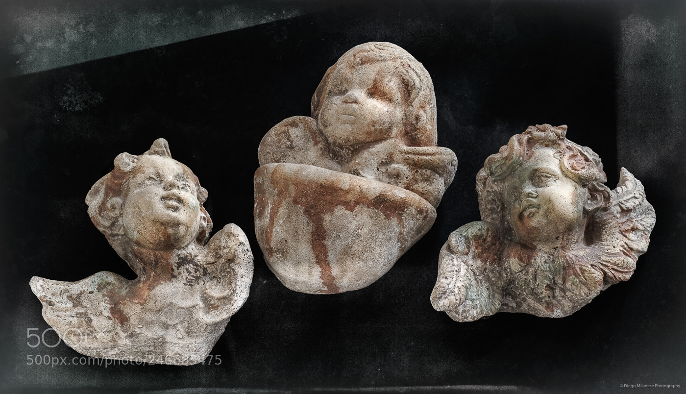 Fujifilm X-T20 sample photo. Three little angels photography