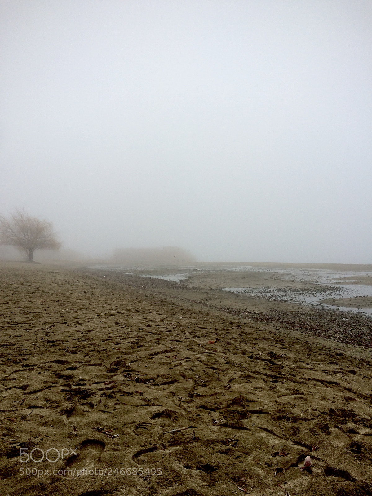 Apple iPhone 5s sample photo. Foggy! photography
