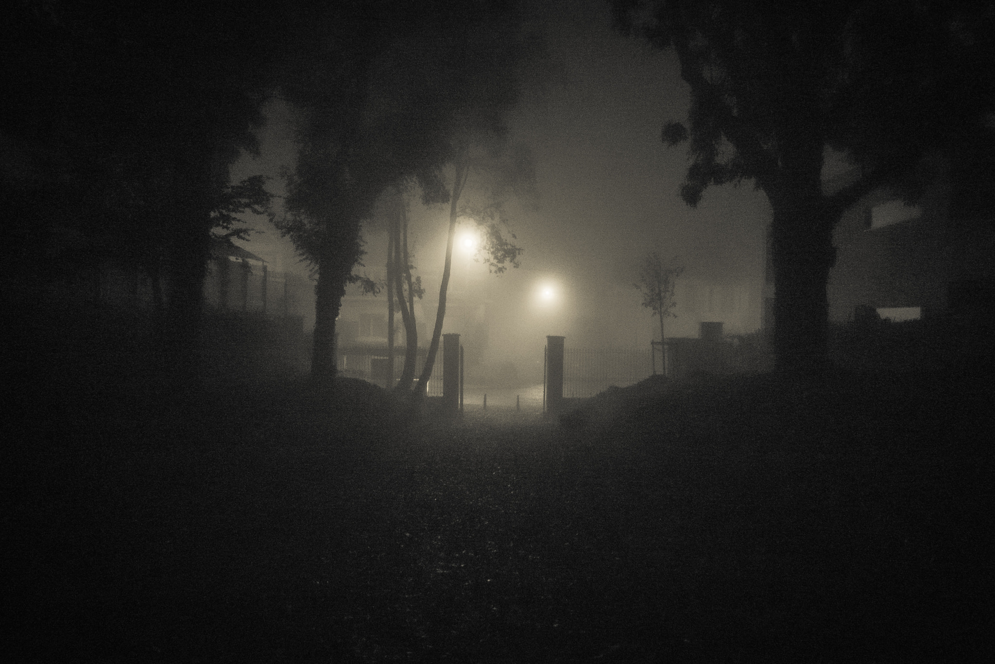 Panasonic Lumix DMC-LX3 sample photo. A halloween mood... photography