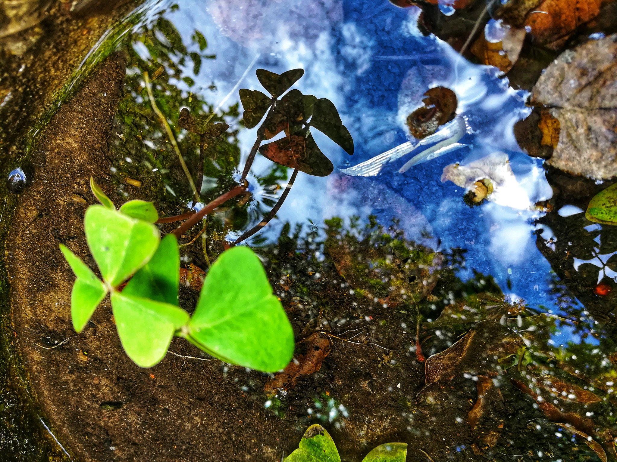 HUAWEI MATE 9 LITE sample photo. Mirror photography