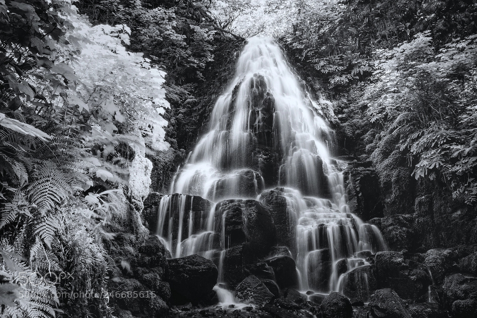 Nikon D7100 sample photo. Fairy falls photography