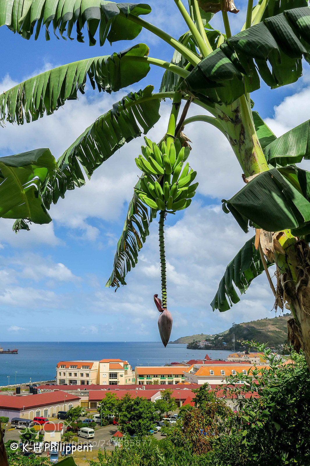 Canon PowerShot G3 X sample photo. St. george s grenada photography