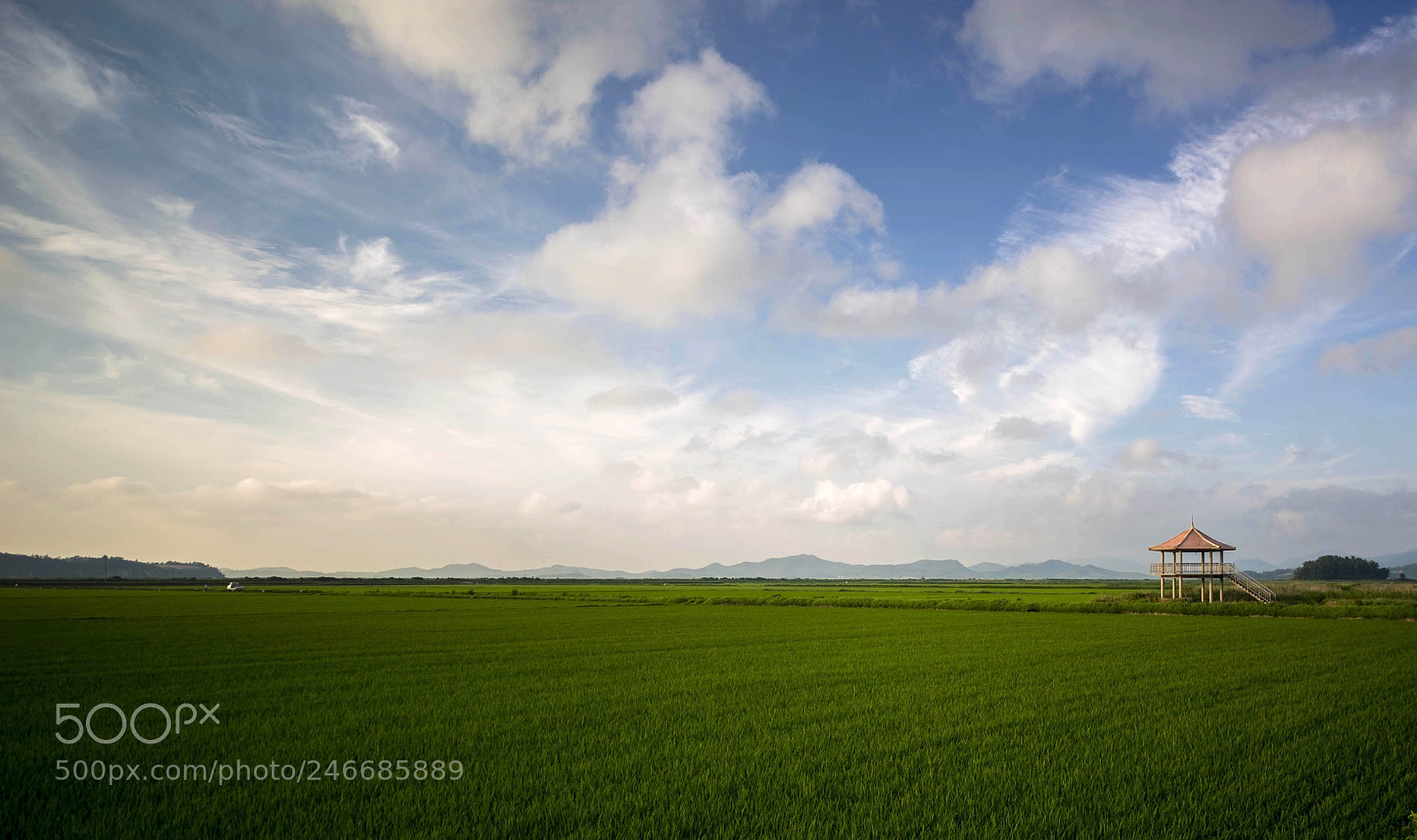 Canon EOS-1D X sample photo. Resting places photography