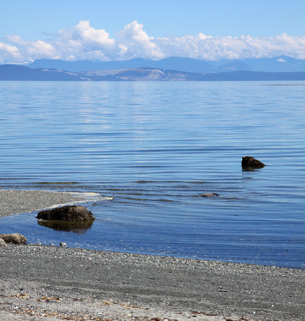 Canon EOS 50D sample photo. Denman island photography