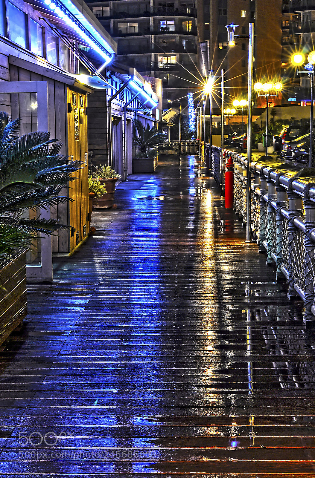 Nikon D90 sample photo. Boardwalk.jpg photography