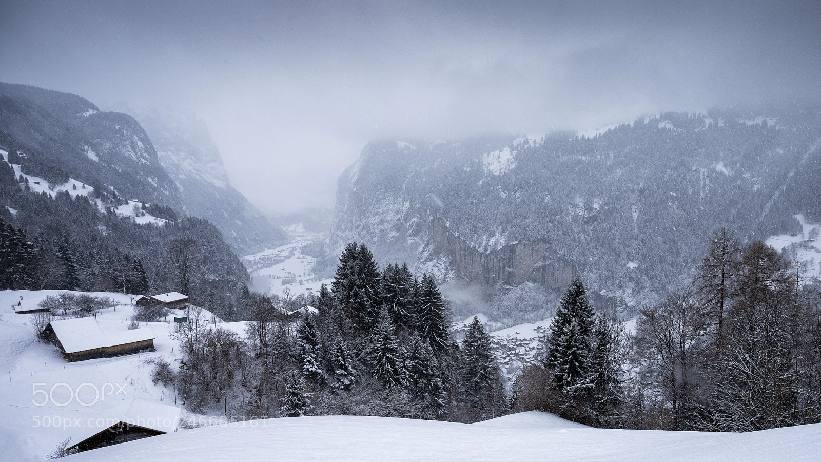 Canon EOS 6D Mark II sample photo. Winter wonderland photography