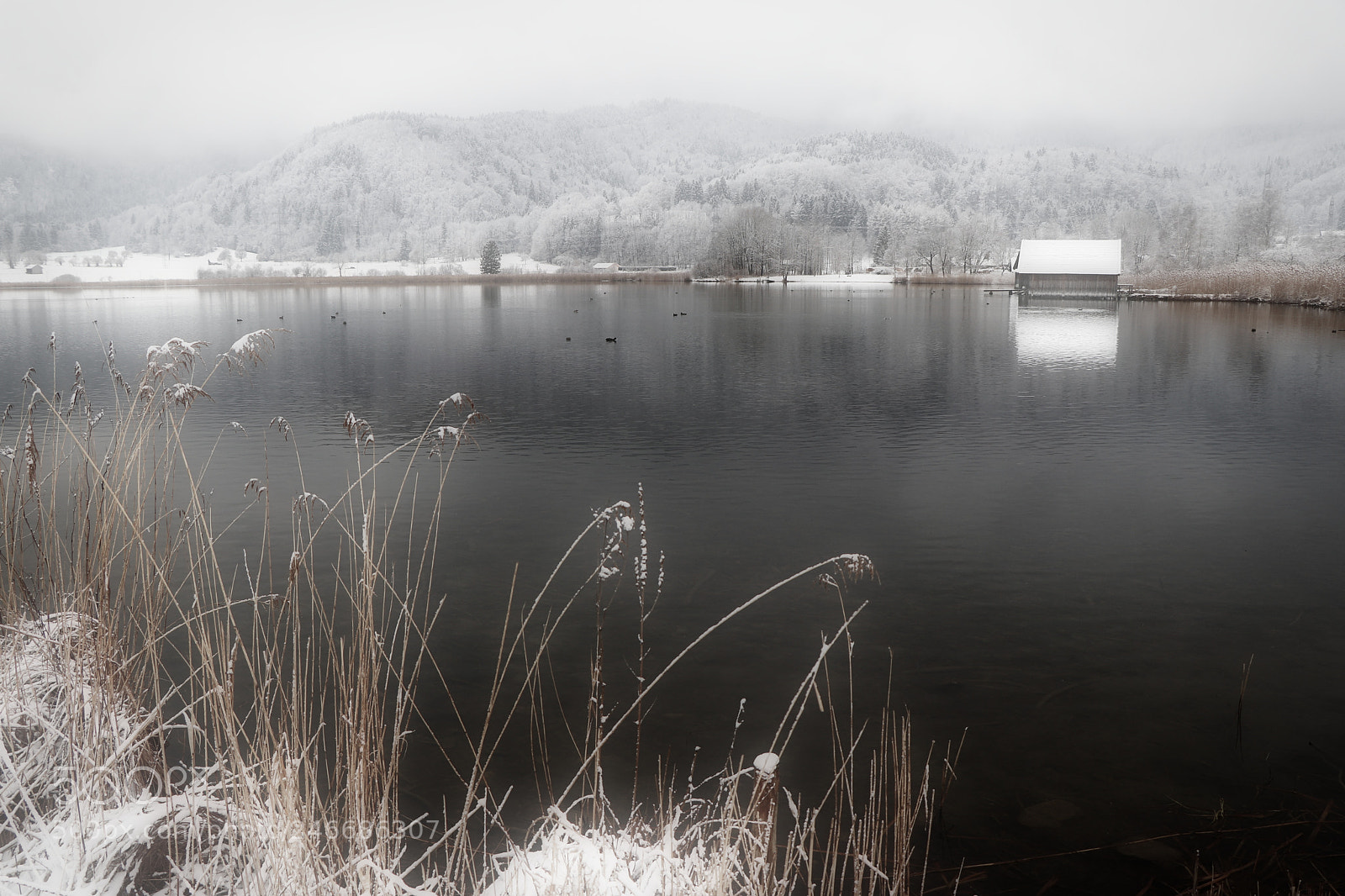 Canon EOS 77D (EOS 9000D / EOS 770D) sample photo. The lake photography