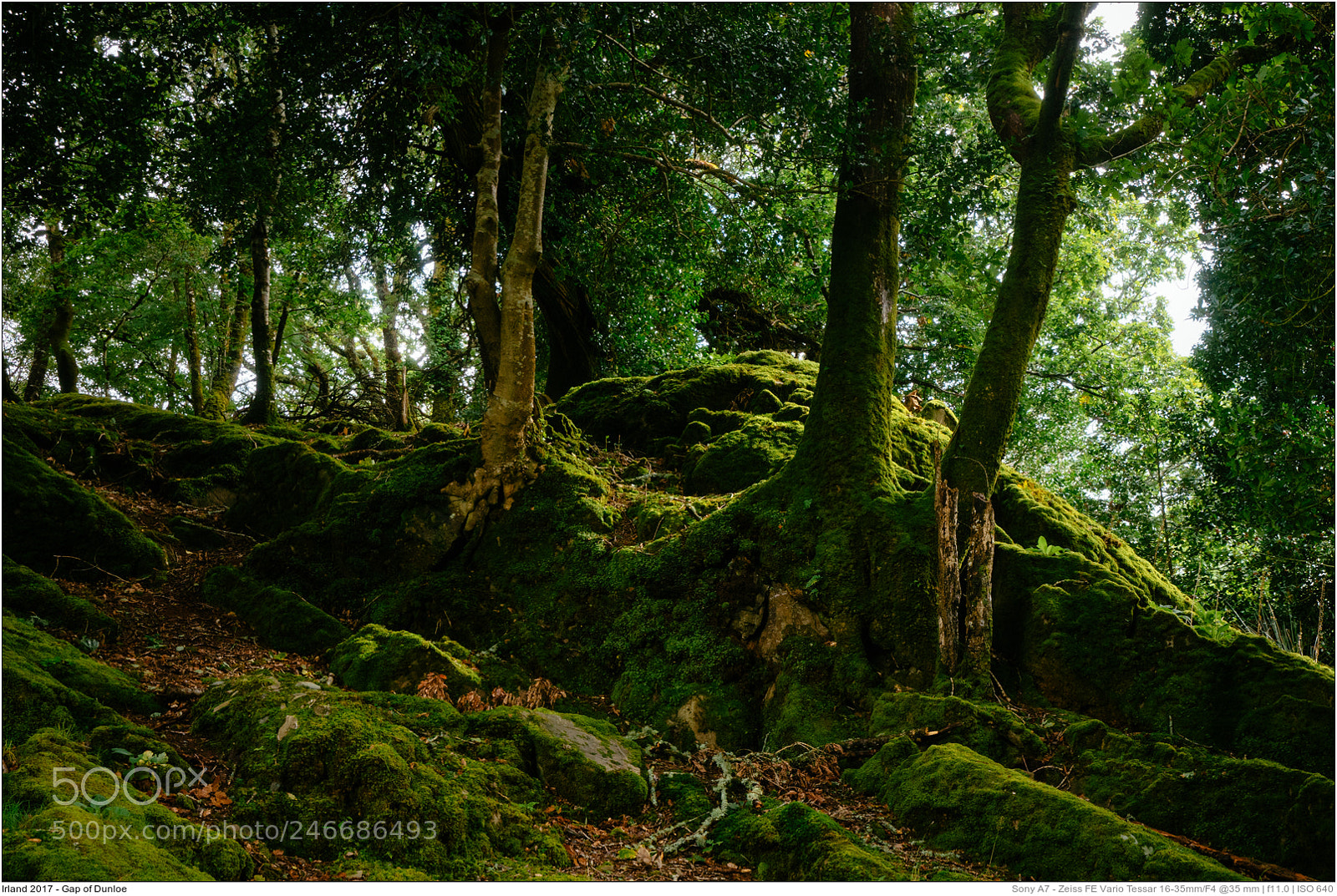Sony a7 sample photo. Irland gap of dunloe photography