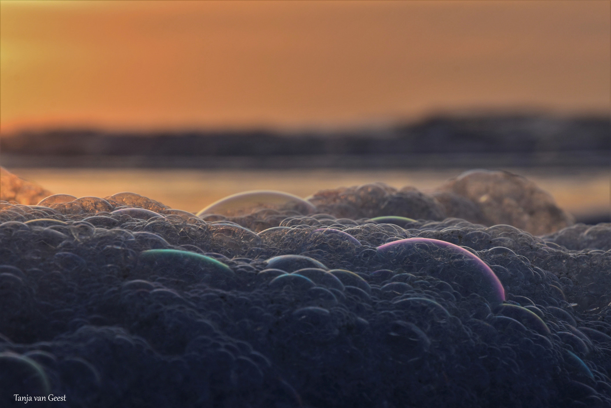 Nikon D5500 sample photo. Colorful sea foam photography