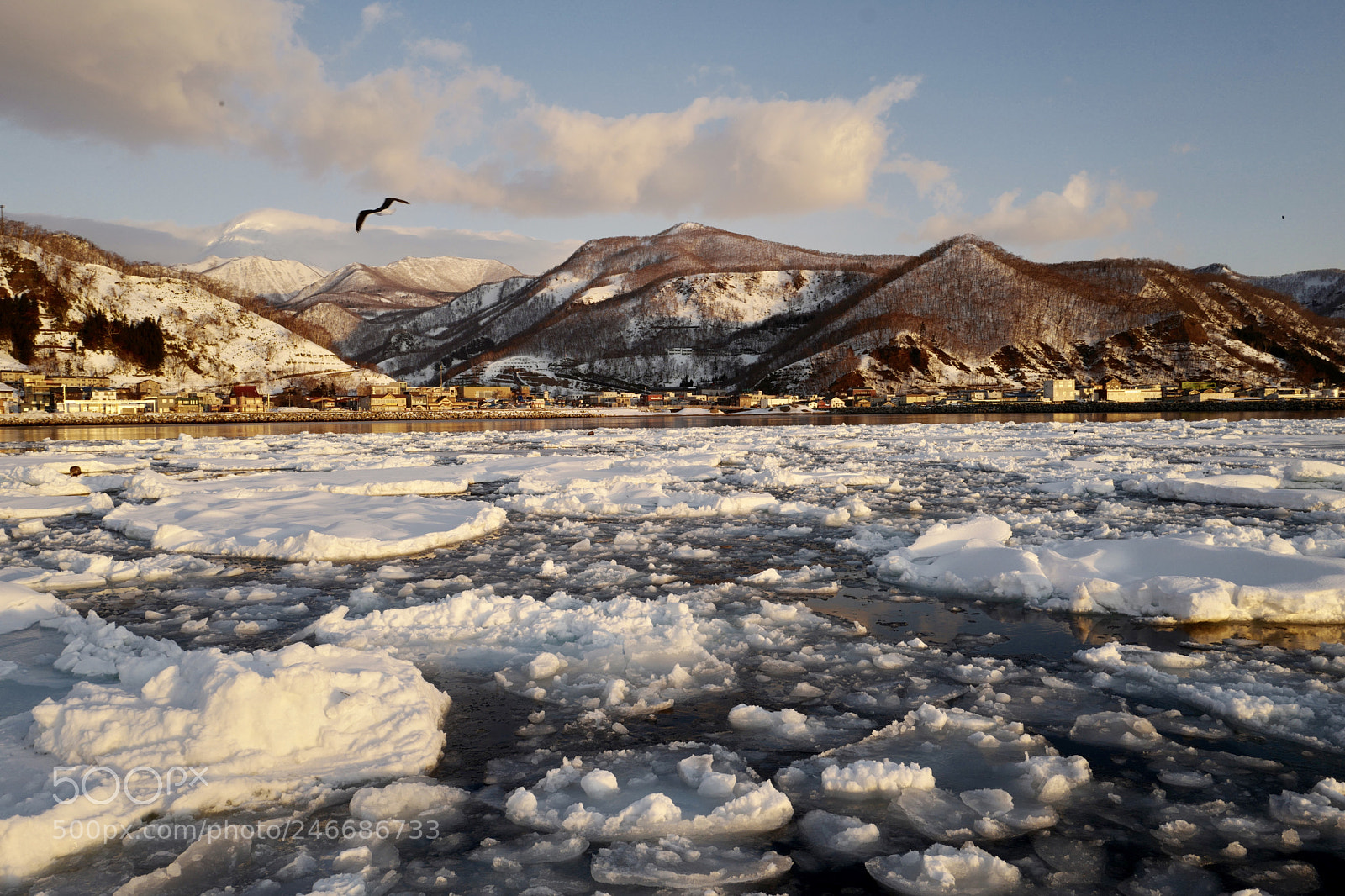 Leica Q (Typ 116) sample photo. Travel in hokkaido in photography