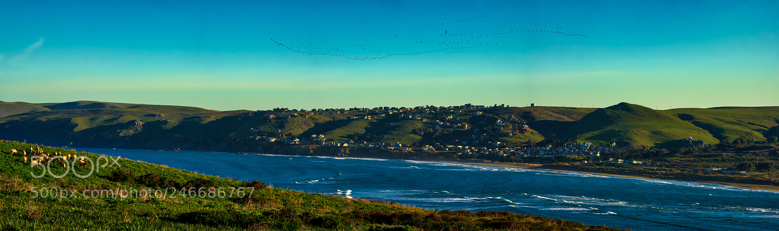 Pentax K-3 II sample photo. Point reyes photography