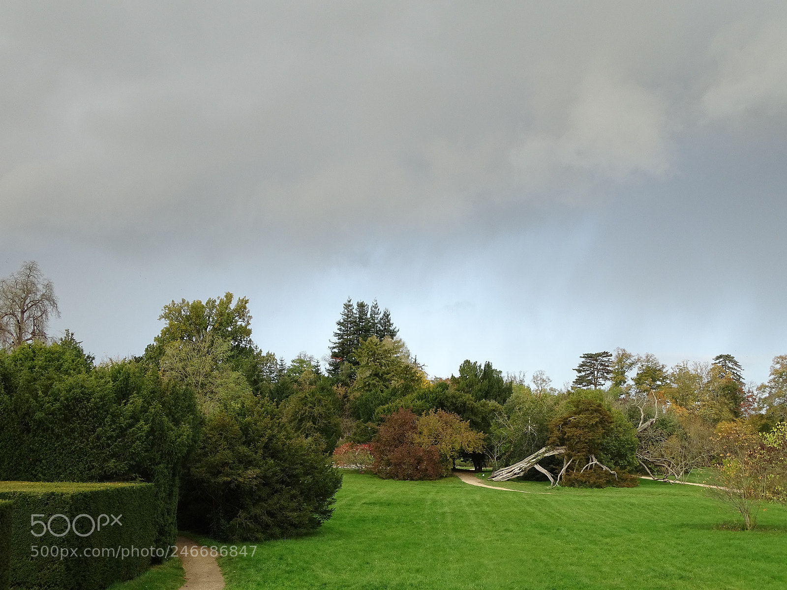 Sony Cyber-shot DSC-HX400V sample photo. Dsc photography