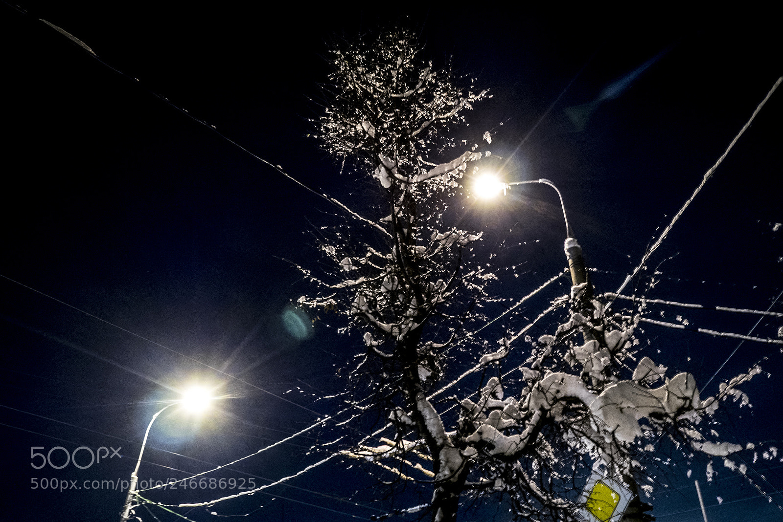 Panasonic Lumix DMC-GM1 sample photo. Lamps and wires photography