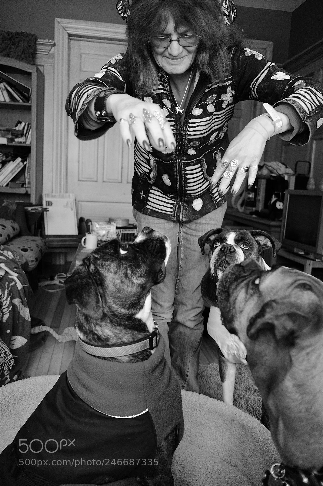 Fujifilm X70 sample photo. Dogs in training photography