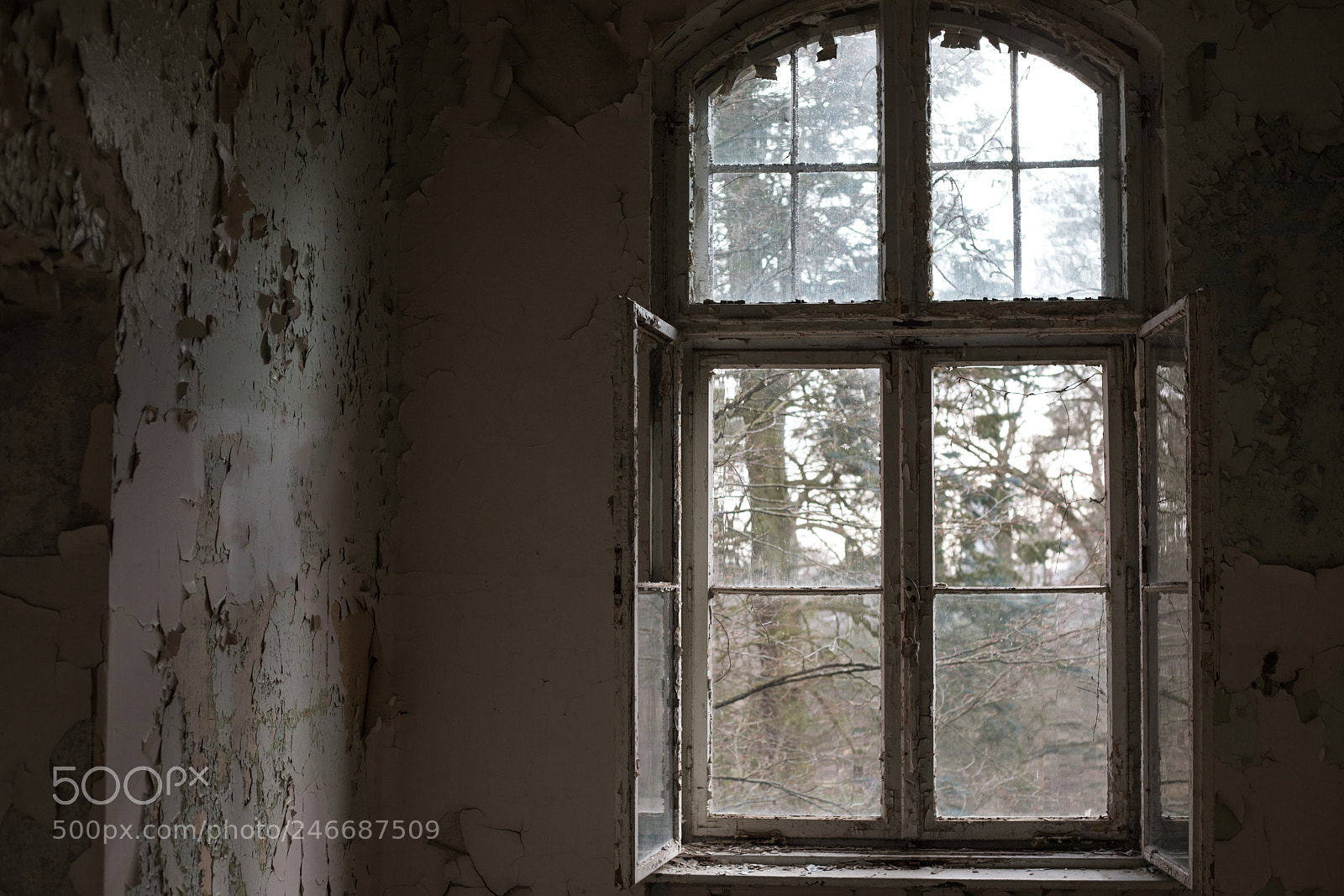 Canon EOS 6D Mark II sample photo. Untitled photography