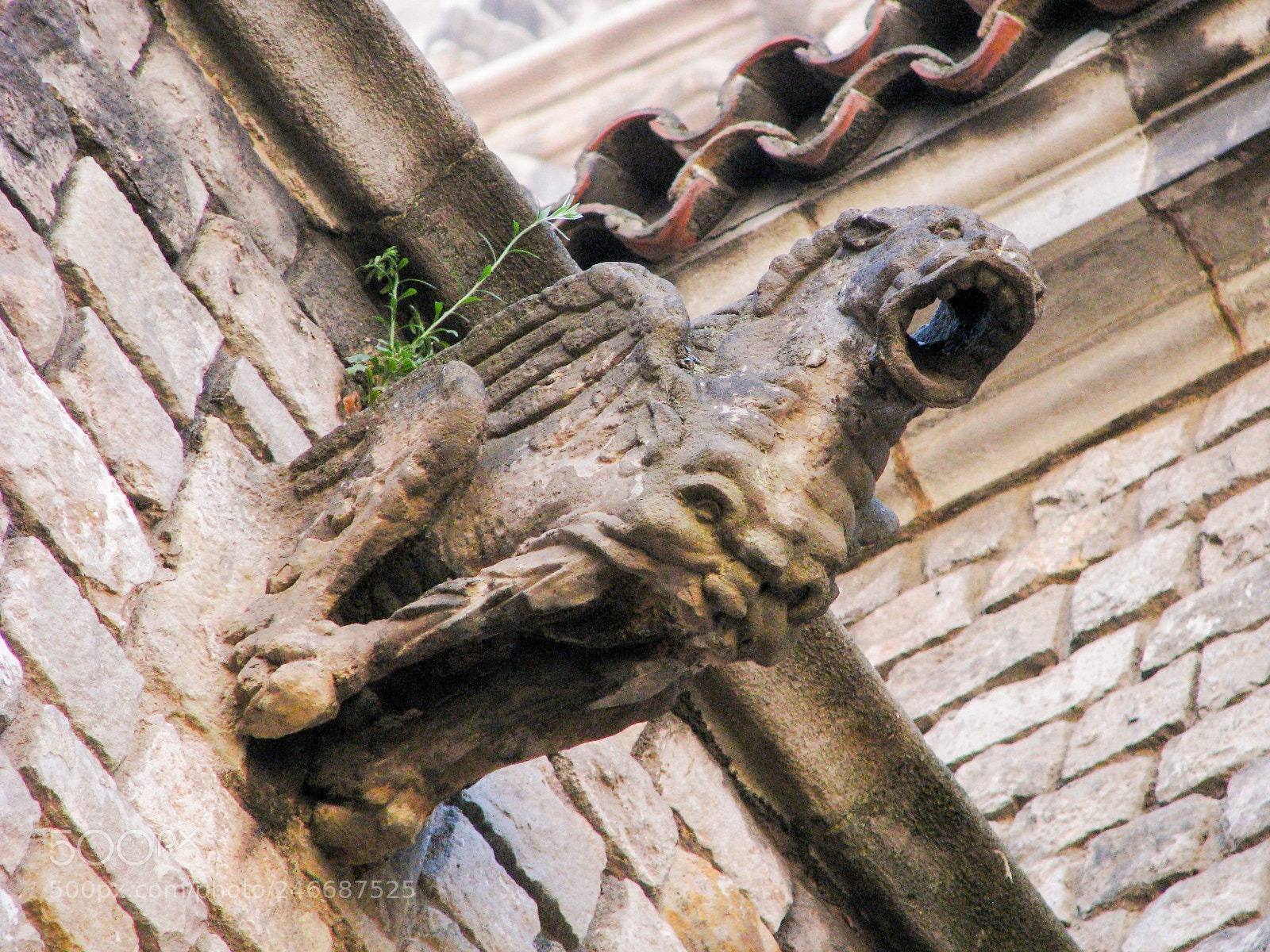 Canon POWERSHOT S5 IS sample photo. Barcelona: catedral y presbiterio photography