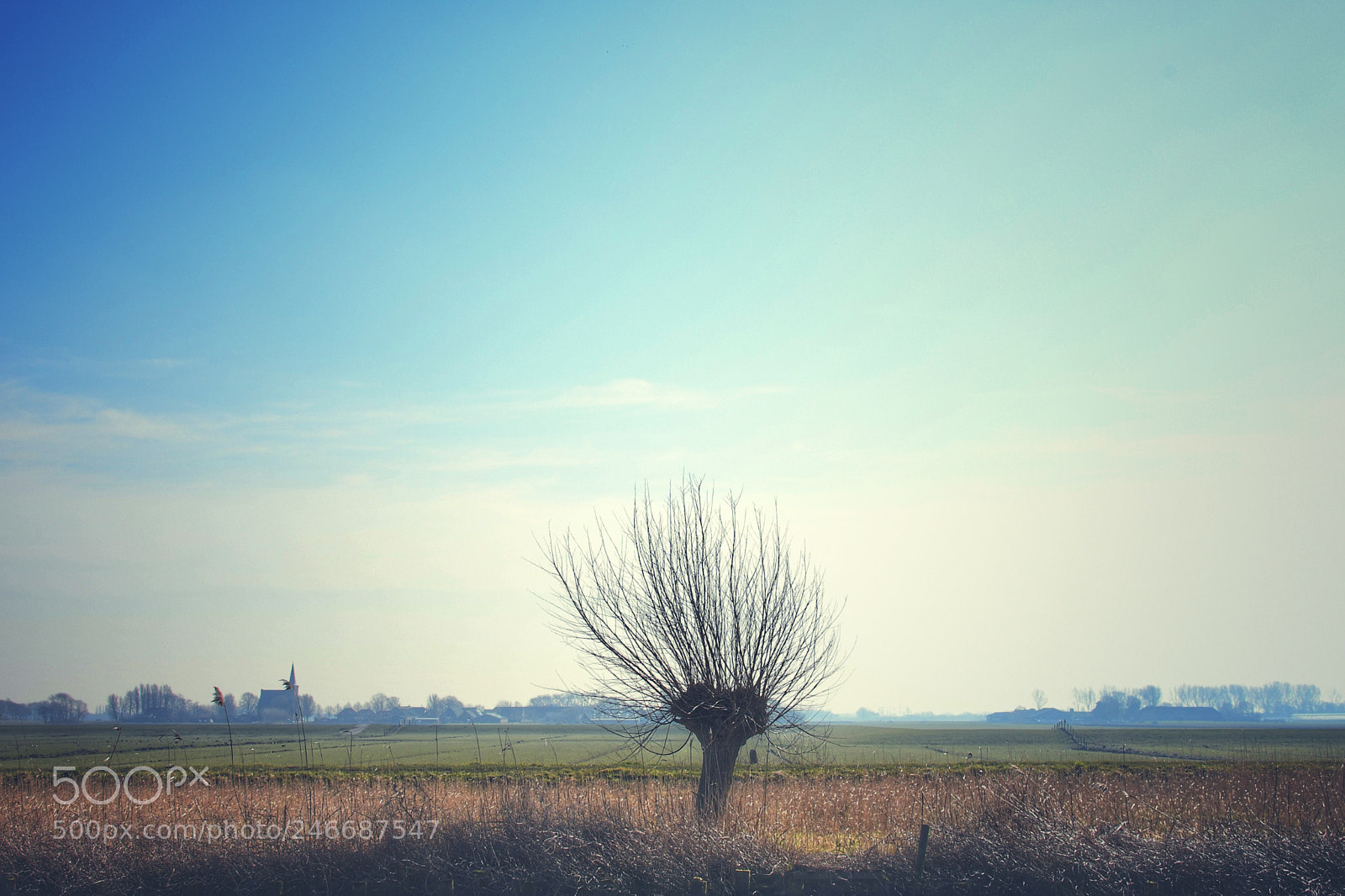 Nikon D7500 sample photo. Holland, midden delfland photography