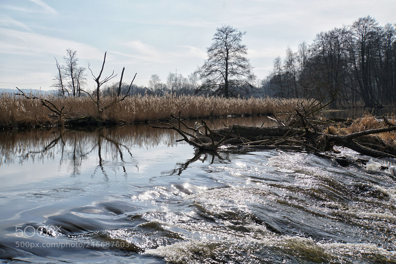 Sony a6300 sample photo. Waldnaab photography