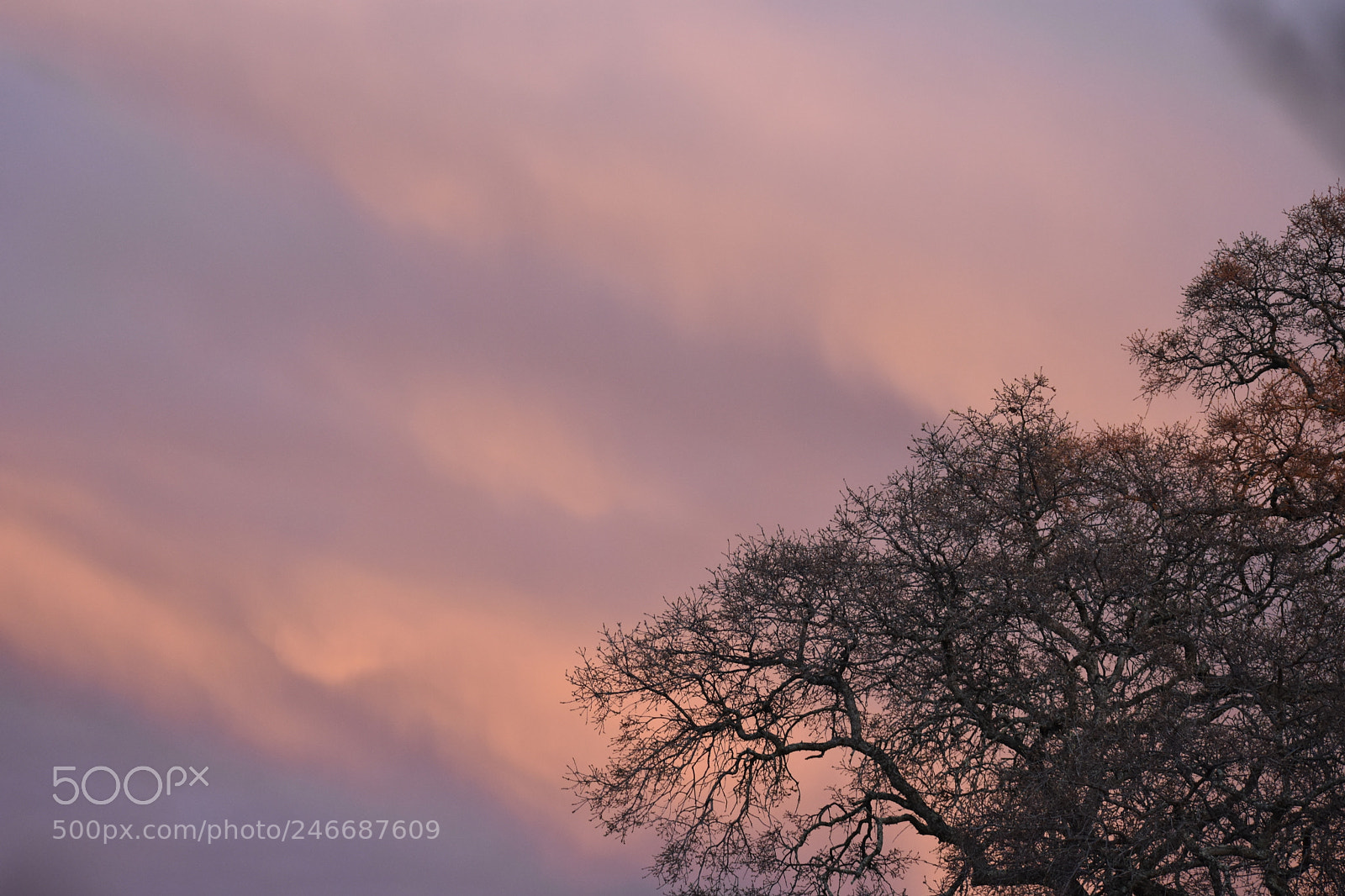 Nikon D3400 sample photo. Evening sky photography