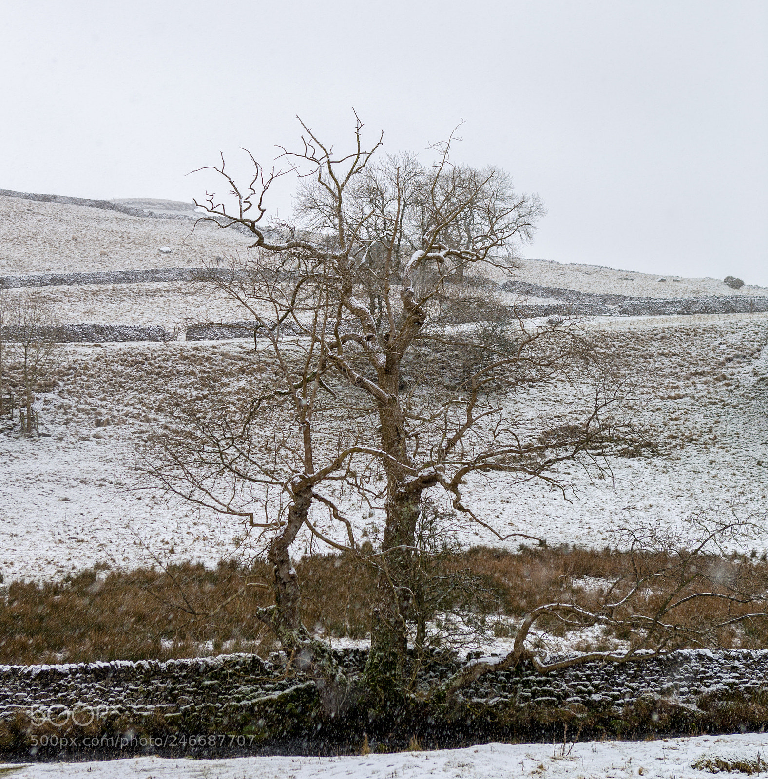 Canon EOS-1D X sample photo. Malham cove photography