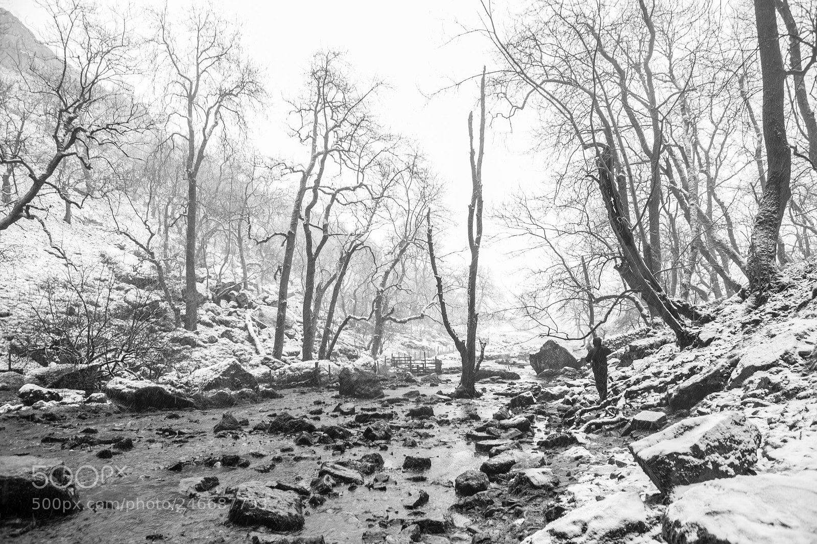 Canon EOS-1D X sample photo. Malham cove photography