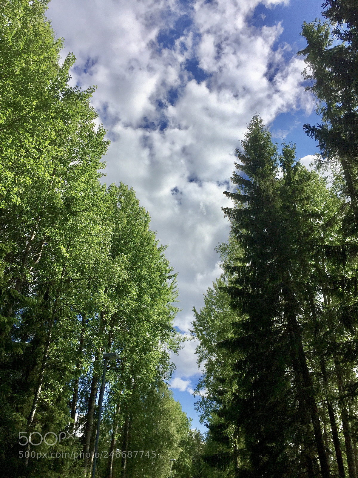 Apple iPhone 6 Plus sample photo. Sky cuts a path photography