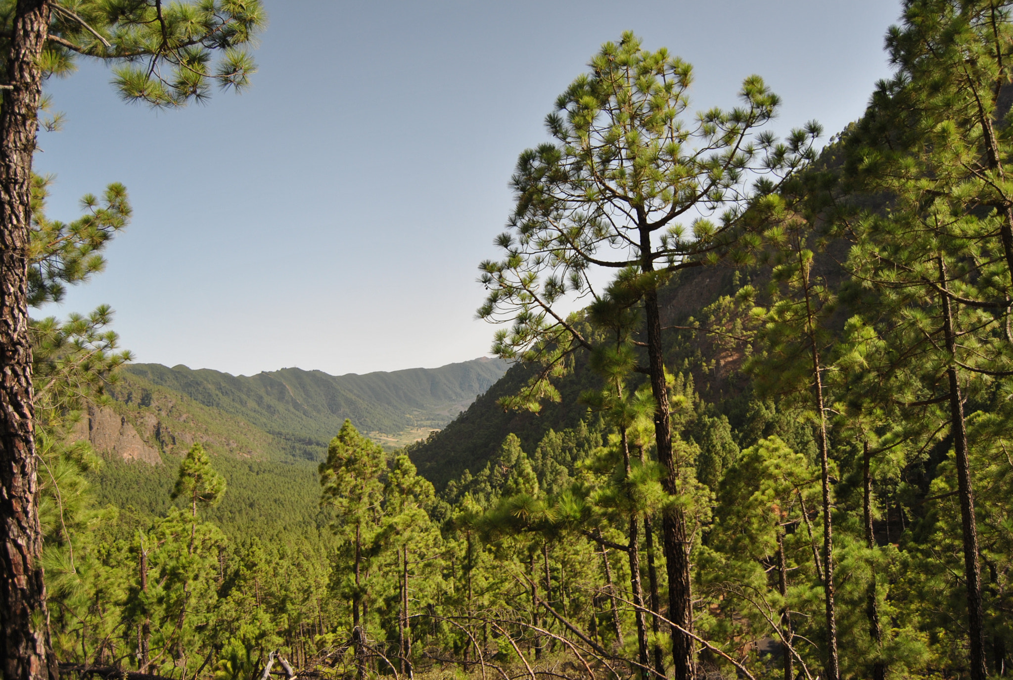 Nikon D3000 sample photo. Imagem photography