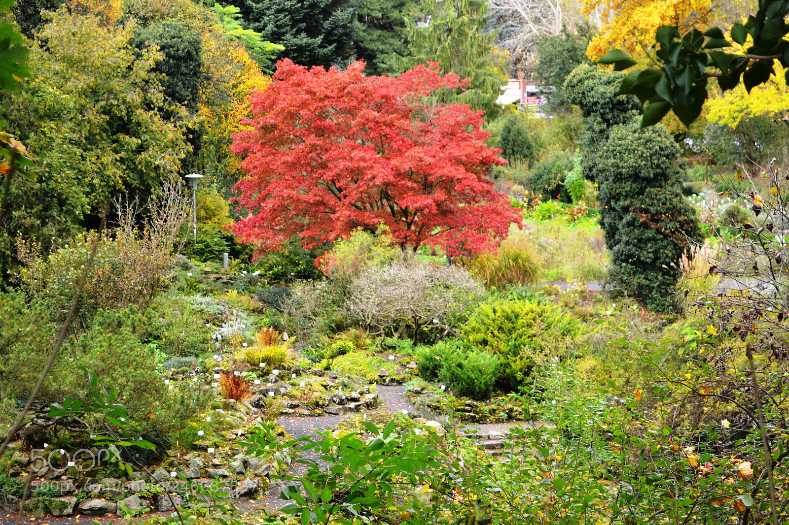 Nikon D3100 sample photo. Garden, germany photography