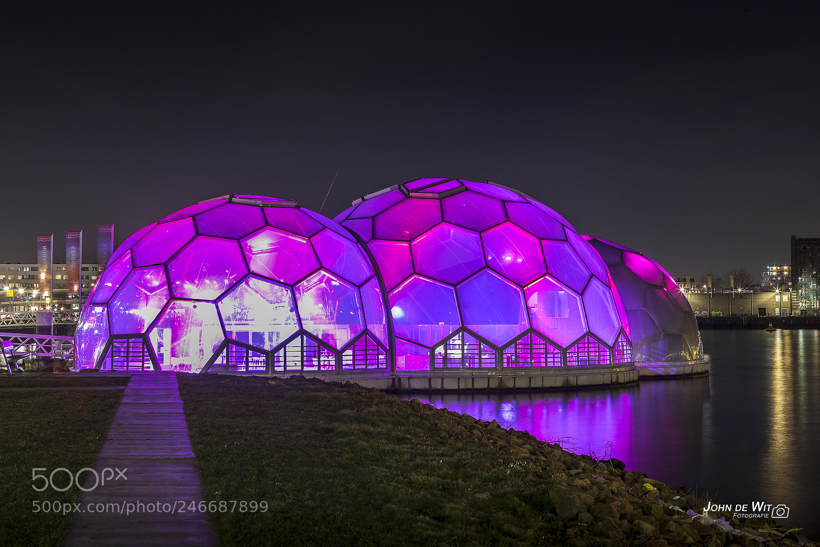 Canon EOS 6D Mark II sample photo. Purple sf photography