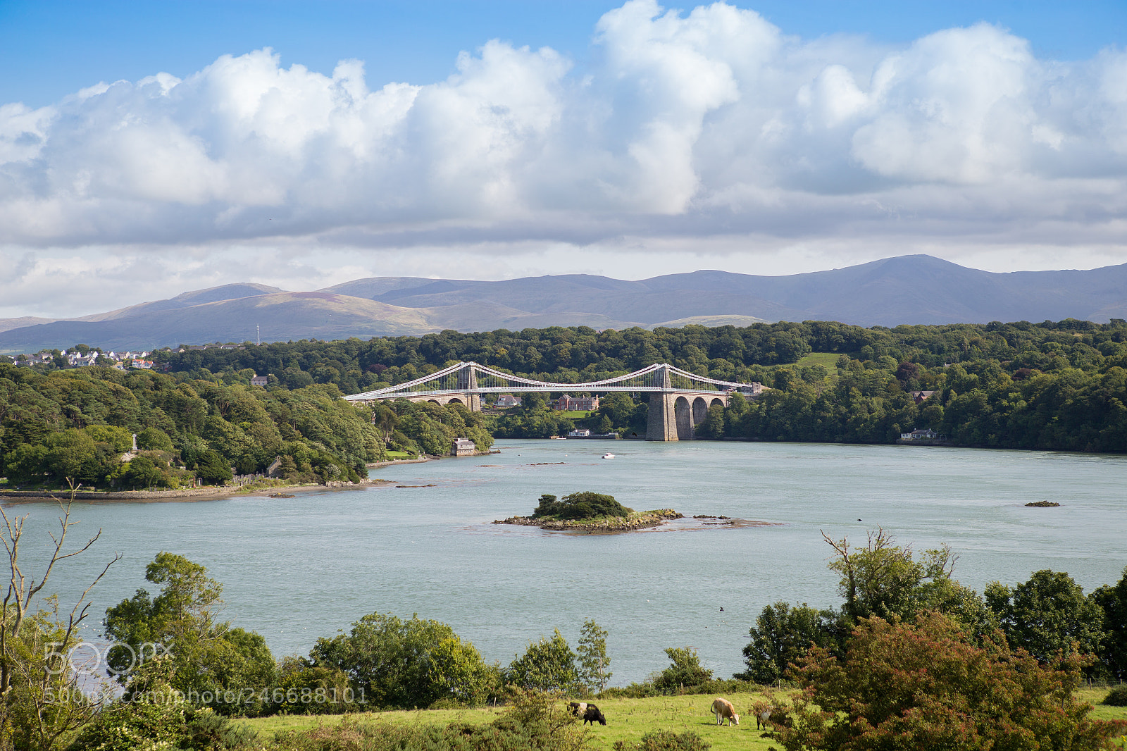 Canon EOS-1D X sample photo. Anglesey photography