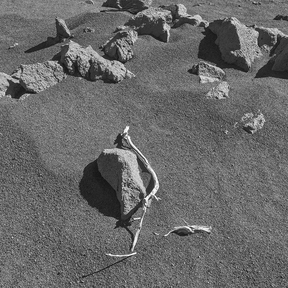Sigma sd Quattro sample photo. Sticks and rocks photography