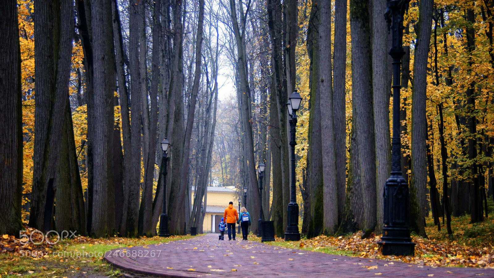 Sony SLT-A35 sample photo. Осень в Царицыно photography