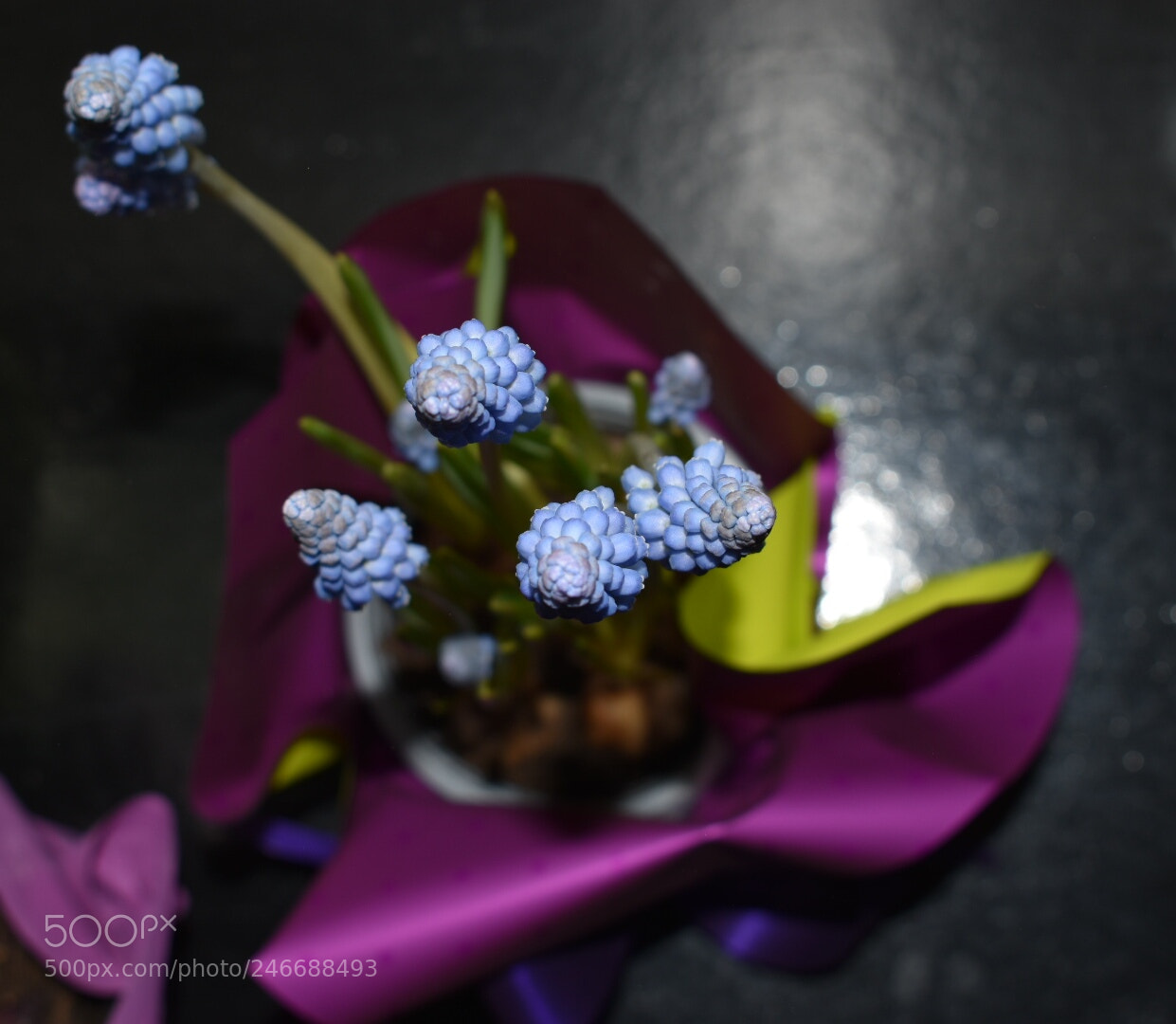 Nikon D5600 sample photo. Untitled photography